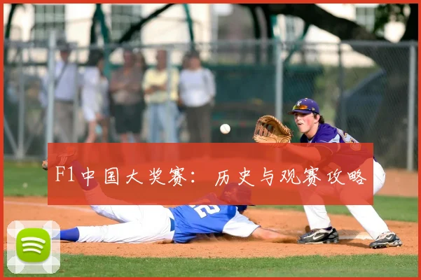 F1中国大奖赛：历史与观赛攻略