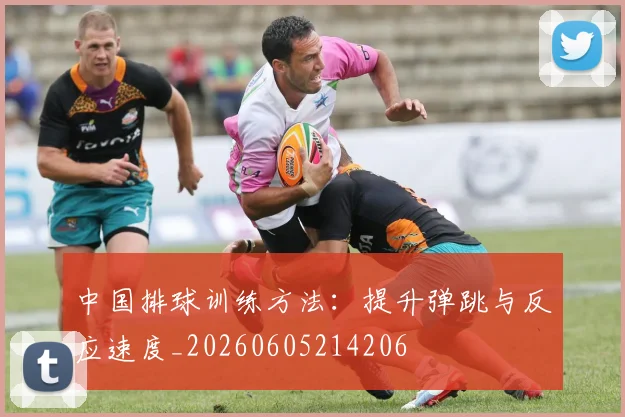 中国排球训练方法：提升弹跳与反应速度_20260605214206
